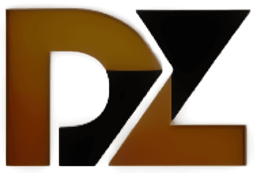 DZ MARKETING SOLUTIONS logo